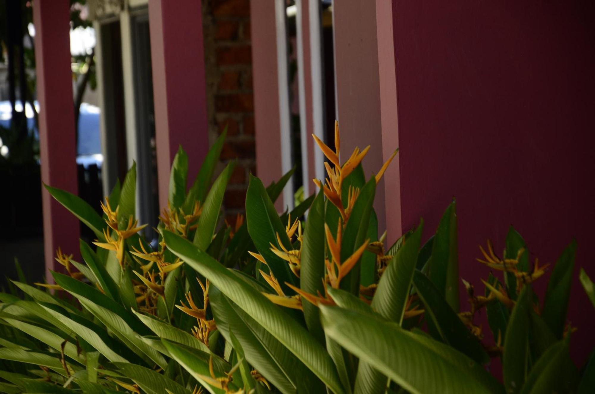 Baronda Guest House Sorong Ngoại thất bức ảnh