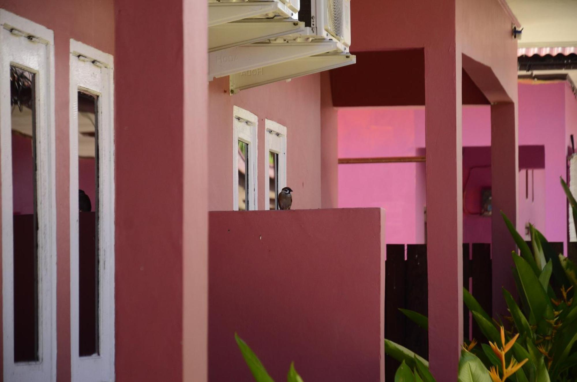 Baronda Guest House Sorong Ngoại thất bức ảnh